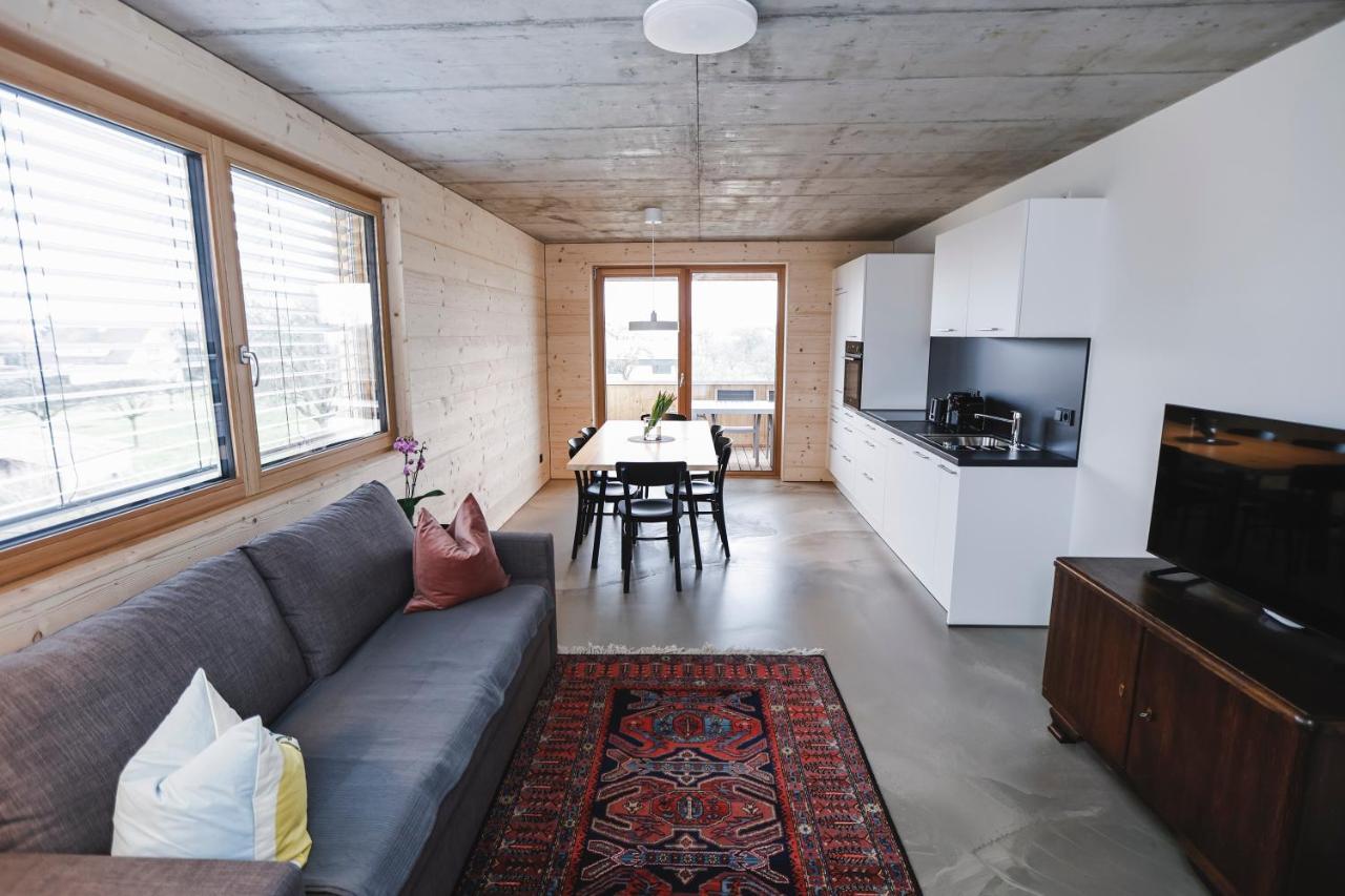 Boutique Apartments Lustenau Nachhaltige Kuehlung Ueber Erdsonde Und Fussbodenkuehlung ภายนอก รูปภาพ